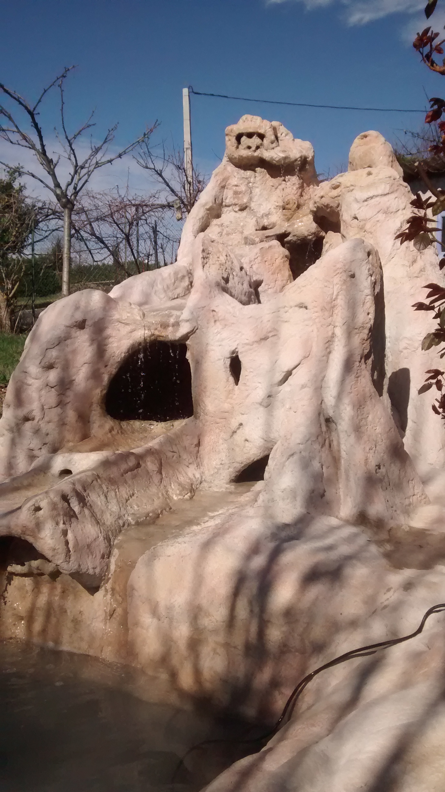 IMG_20200308_121058567